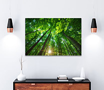 Obraz Les a jeho tajomstvá 1927